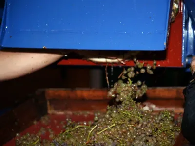 Unité de vinification & de récolte