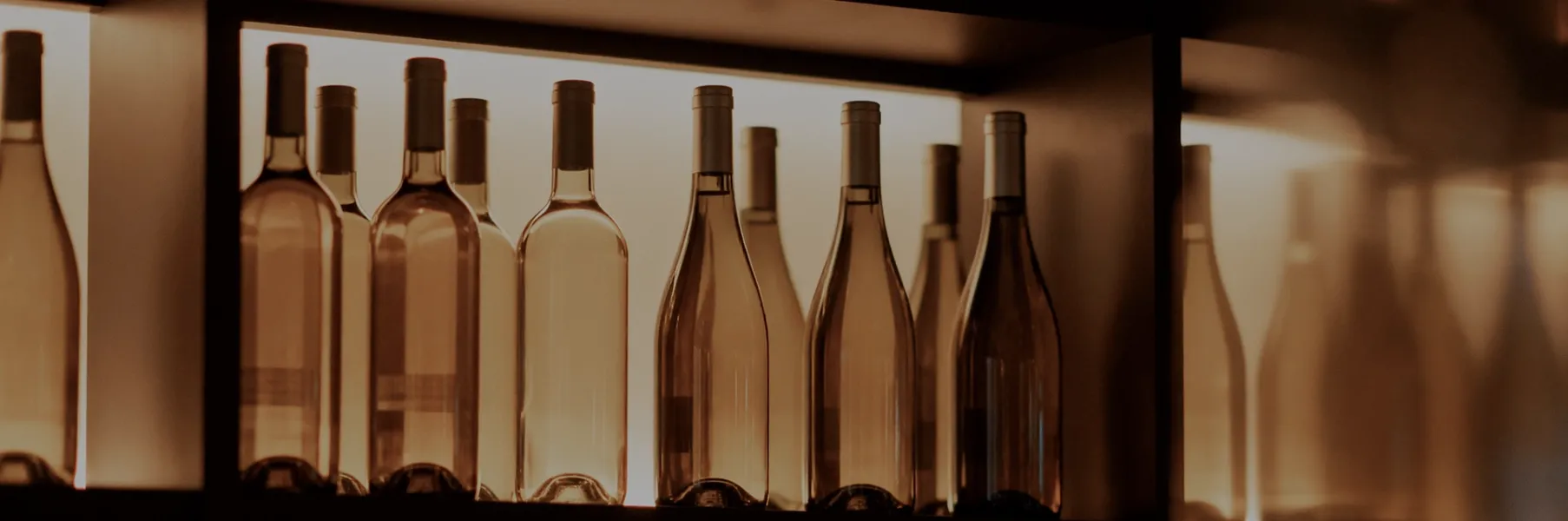 Emilien Fesquet - Domaine la Grand’Terre